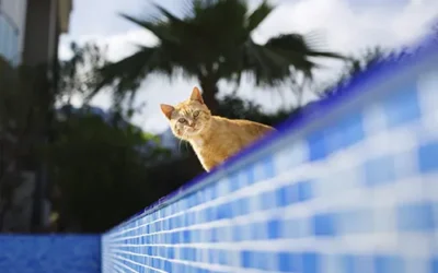 Piscina baixando o nível da água será evaporação ou vazamento?