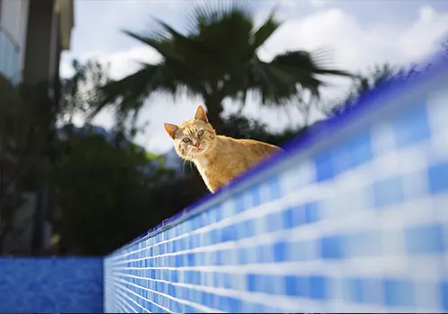 Piscina baixando o nível da água será evaporação ou vazamento?